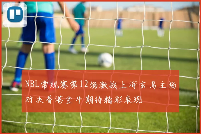 NBL常规赛第12场激战上海玄鸟主场对决香港金牛期待精彩表现