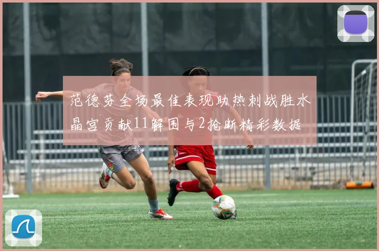范德芬全场最佳表现助热刺战胜水晶宫贡献11解围与2抢断精彩数据